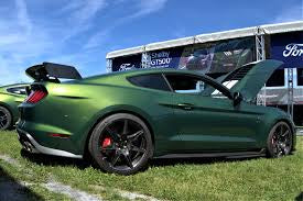 2022 ERUPTION GREEN AND BLACK SHELBY HOOD PROP